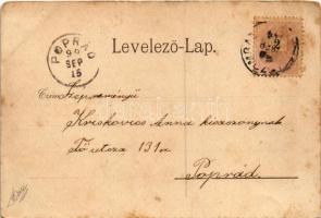 1899 (Vorläufer) Miskolc, Erzsébet tér, Kossuth szobor. Lövy József fia kiadása (fl)