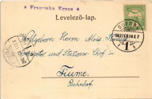 1902 Sopron, Oedenburg; Kossuth út, Kossuth út feldíszített magyar címeres villamossal, lovaskocsi. ...
