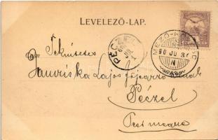 1901 Mezőkövesd, Matyó ház. Balázs Ferenc kiadása