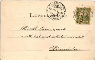 1904 Kecskemét, Nagykőrösi utca, drogueria, drogéria, könyv, papír és kölcsönkönyvtár üzlet