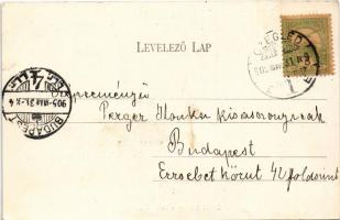 1905 Cegléd, városháza, evangélikus és református templom, látkép a toronyból, Pesti út. Sárik Gyula...