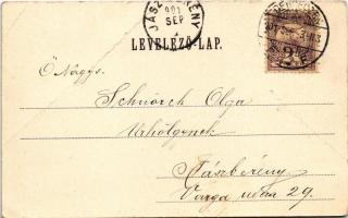 1901 Debrecen, Zenede, ifj. Áron Manó és Horogh József üzlete, piac. Pongrácz Géza kiadása Kiss Fere...