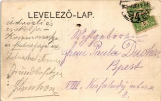 1908 Budapest II. Hűvösvölgy, Wippner vendéglője a remetéhez a Mária Remetei úton, magyar zászló (Rb...