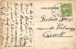 1910 Pomáz, Mocsáry villa, kastély (nagy világutazó asszony, Mocsáryné Fáy Mária otthona) (EK)