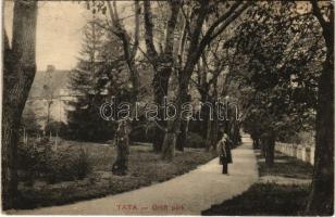 1911 Tata, Grófi park és kastély (EK)