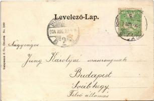 1904 Szigliget, vár. Kampmann & Co. No. 1080