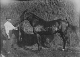 cca 1910 Balatongyörök, Keszthely, 8 db üveg negatív 9x12 cm