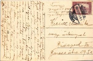 1920 Hőgyész, Gróf Apponyi Géza kastély. TCV card