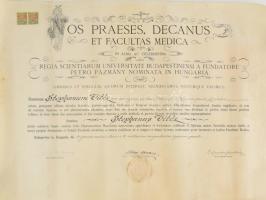 1946 2 db gyógyszerész diploma Vitéz István névre, plusz hozzá néhány szakmai oklevél