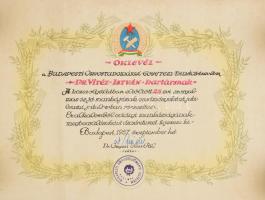 1946 2 db gyógyszerész diploma Vitéz István névre, plusz hozzá néhány szakmai oklevél