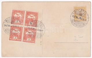 1917 Savanyúkút, Sauerbrunn; Karl Bank és Bank nyaraló. Hönigsberg Frigyes No. 30. / villas / Villen