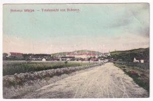 1907 Rohonc, Rechnitz; látkép az úttal. Stelczer Adolf kiadása / Totalansicht / road (EB)