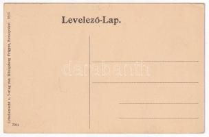 Savanyúkút, Sauerbrunn; Hartig utca, nyaralók. Hönigsberg Frigyes kiadása / Hartiggasse, Villen / st...