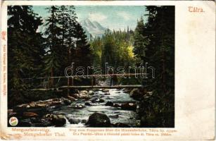 Tátra, Magas-Tátra, Vysoké Tatry; Menguszfalvi-völgy, Út a Poprádi-tóhoz a Hinczkó pataki hídon át. Feitzinger Ede 265. 1902/12. / valley, wooden bridge (EB)