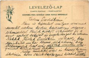 Tátra, Magas-Tátra, Vysoké Tatry; Menguszfalvi-völgy, Út a Poprádi-tóhoz a Hinczkó pataki hídon át. ...