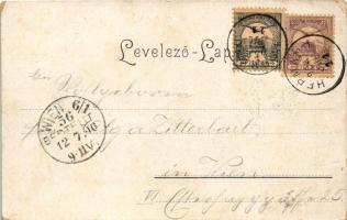 1900 Hermánd, Hermanecz, Harmanec; papírgyár és a budapesti raktár / paper factory and warehouse in ...