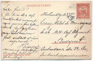 1908 Újvidék, Novi Sad; Futtaki utca, Otthon Kávéház, Heksch Nővérek és Anton Kiss üzlete. Schäffer ...