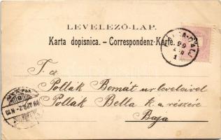 1899 (Vorläufer) Dálya, Dalja; Bahnhof / kolodvor / vasútállomás. Ottokar Rechnitzer No. 75./ railwa...