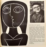 Solymár István: Mai magyar rajzművészet. Bp., 1972, Képzőművészeti Alap Kiadóvállalat. Gazdagon illu...