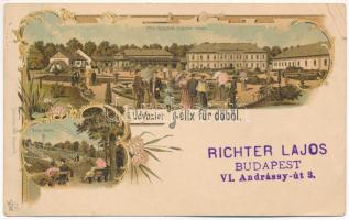 1897 (Vorläufer) Félixfürdő, Baile Felix; fürdő Nagyvárad mellett, vasútállomás / spa near Oradea, railway station. Sonnenfeld Adolf Art Nouveau, floral, litho (EK)