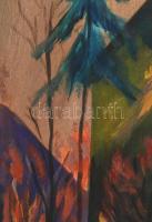 Jelzés nélkül: Erdélyi városrészlet. Olaj, vászon. 70×50 cm