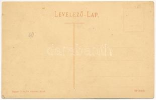 Arad, Lelencház, árvaház. Ingusz I. és fia kiadása / orphanage (kopott sarkak / worn corners)