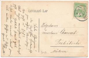 1913 Nagykomlós, Comlosu Mare; San Marco hercegnő kastélya, park / castle, park