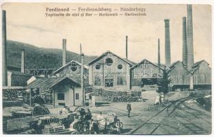 Nándorhegy, Otelu Rosu, Ferdinand, Ferdinandsberg; Martin művek acél és vasöntöde, iparvasút / Topitorile de otel si fier / Martinwerk / steel and iron works, factory, foundry, industrial railway (EK)