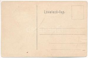 Szatmárnémeti, Satu Mare; Dr. Muhi palota, Szabó Géza üzlete / palace, shop (fa)