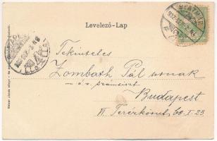 1902 Szatmárnémeti, Satu Mare; folyópart. Szecessziós címeres litho, Reizer János kiadása / riversid...