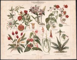 cca 1895-1900 15 db nyomat a Pallas Nagy Lexikonából (Az ezredéves kiállítás madártávlati képe, euró...