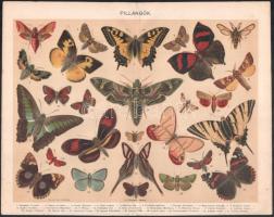 cca 1895-1900 15 db nyomat a Pallas Nagy Lexikonából (Az ezredéves kiállítás madártávlati képe, euró...