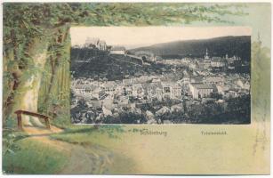 1902 Segesvár, Schässburg, Sighisoara; Totalansicht. Szecessziós erdős litho, Fritz Teutsch kiadása / Art Nouveau, forest, litho