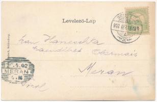 1902 Segesvár, Schässburg, Sighisoara; Totalansicht. Szecessziós erdős litho, Fritz Teutsch kiadása ...