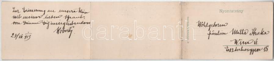 1913 Herkulesfürdő, Baile Herculane; fürdő. 3-részes kinyitható panorámalap, Eberle Keresztély kiadá...