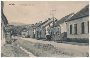 Algyógy, Geoagiu de jos (Hunyad); Fő utca. / main street