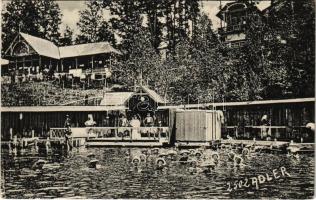 1911 Szovátafürdő, Baile Sovata; Medve tó, fürdőzők. Adler fényirda 1910 / Lacul Ursu / lake, spa (ázott sarok / wet corner)