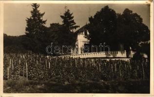 Balatongyörök, Szentkirályi villa, szőlőskert. photo (kis szakadás / small tear)