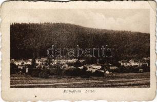 1927 Bártfafürdő, Bardejovské Kúpele, Bardiov, Bardejov; (EK)