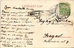 1907 Nagybecskerek, Zrenjanin, Veliki Beckerek; Amerikai részlet, szálloda. W.L. ? 340. / hotel (EK)