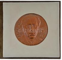Lapis András (1942-) DN Márai Sándor 1900-1989 bronz emlékérem eredeti tokba ragasztva, tájékoztatóval (84mm) T:UNC