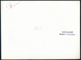 cca 1940-1950 Budapest, Százlábú híd, HÉV átjáró újjáépítése, Szendrő István (1908-2000) pecséttel j...