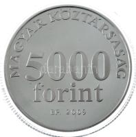 2009. 5000Ft Ag "Radnóti Miklós" kapszulában, tanúsítvánnyal, tájékoztatóval T:PP Adamo EM...