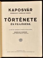 Berecz Sándor: Kaposvár rendezett tanácsú város története és fejlődése. 1425-1925. A gyűjtött adatok...