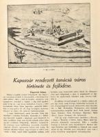 Berecz Sándor: Kaposvár rendezett tanácsú város története és fejlődése. 1425-1925. A gyűjtött adatok...