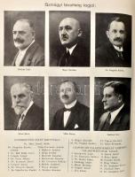 Berecz Sándor: Kaposvár rendezett tanácsú város története és fejlődése. 1425-1925. A gyűjtött adatok...