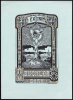 Eggimann, H.: Ex libris Büchler Bern, klisé, papír, 15,5×11 cm