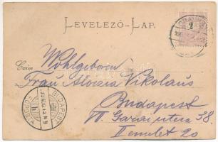 1899 (Vorläufer) Oravica, Oravita; Nagy-tó és vízfogó. C. Kehrer / grossen Teich / lake with waterfa...