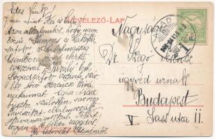 1908 Arad, Széchényi utca, autóbusz, Nemzeti Baleset Biztosító, Első Magyar Általános Biztosító Társ...