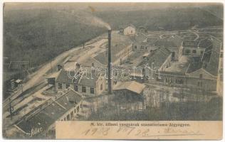 1908 Algyógy, Geoagiu; M. Kir. Állami Vasgyárak szanatóriuma. Adler fényirda / sanatorium of the iron works (factory) (EK)